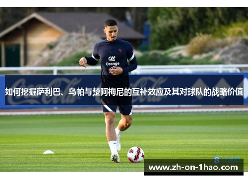 如何挖掘萨利巴、乌帕与楚阿梅尼的互补效应及其对球队的战略价值