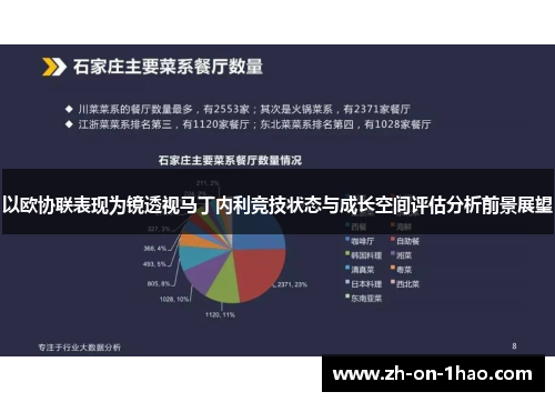以欧协联表现为镜透视马丁内利竞技状态与成长空间评估分析前景展望