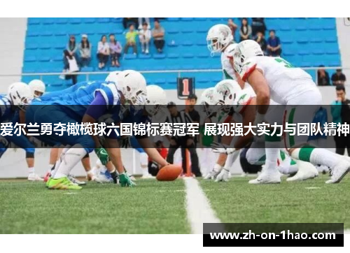 爱尔兰勇夺橄榄球六国锦标赛冠军 展现强大实力与团队精神